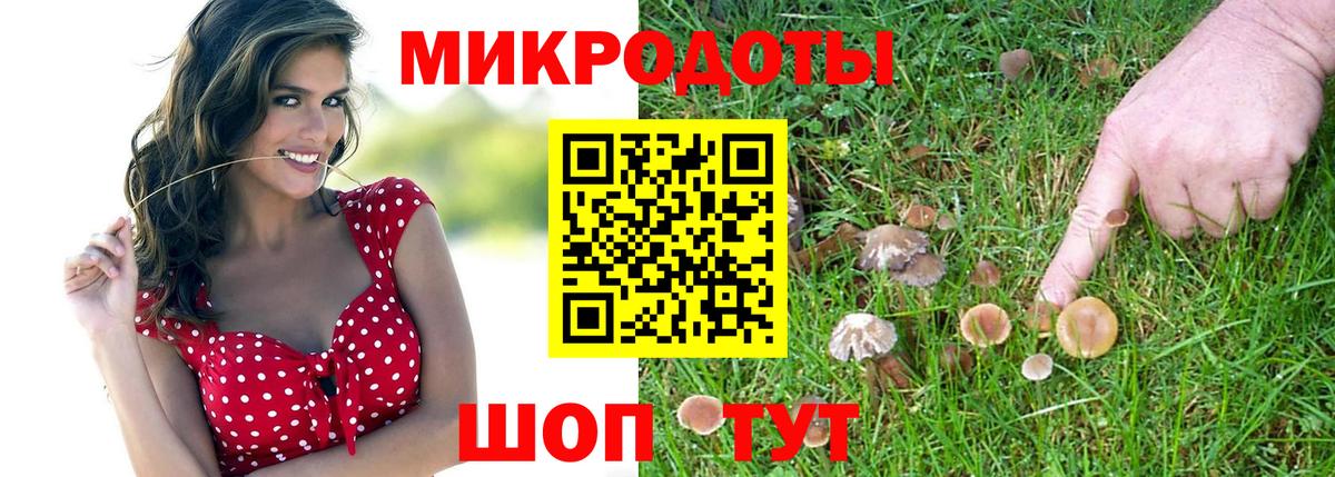 Псилоцибиновые грибы ЛСД Конаково