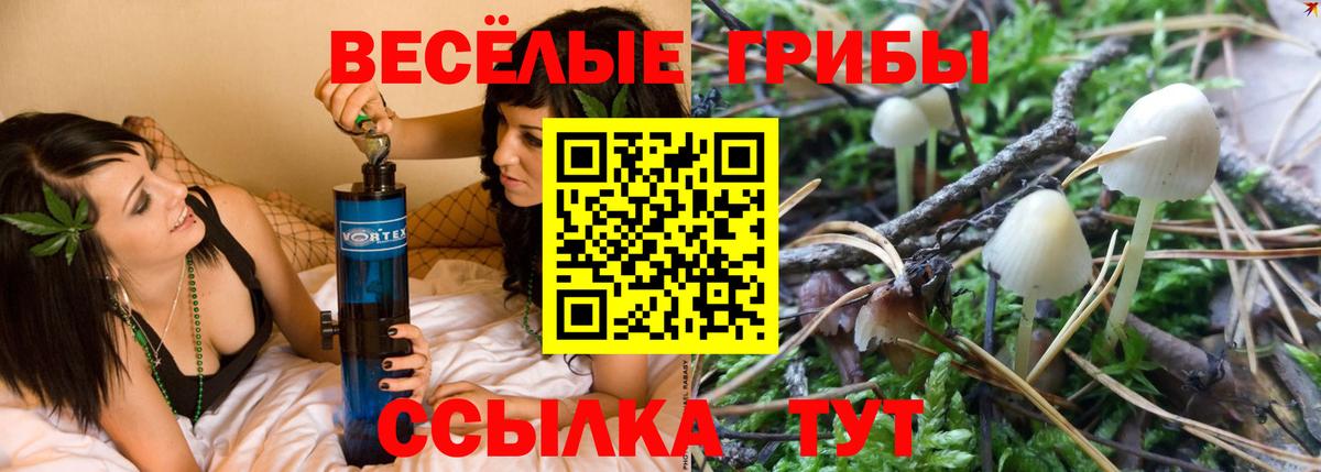 Псилоцибиновые грибы Magic Shrooms  Вход с VPN  Конаково 